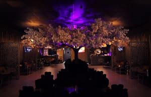 Lux Lounge