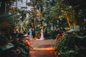 The Canopy at the Buffalo and Erie County Botanical Gardens