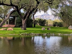 La Mariposa, Tucson