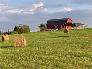 Timber Rose Event and Wedding Venue, Marion