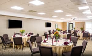 Comfort Suites Piedmont, Easley