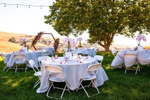 Big Dog Vineyards