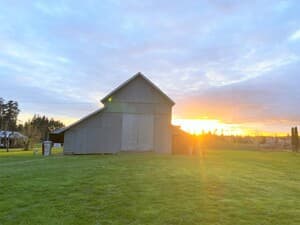 Honeymoon Farm, Aurora